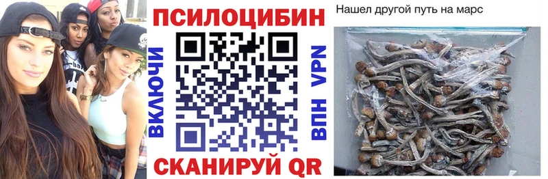 Псилоцибиновые грибы мухоморы  Купить закладки  Тырныауз 