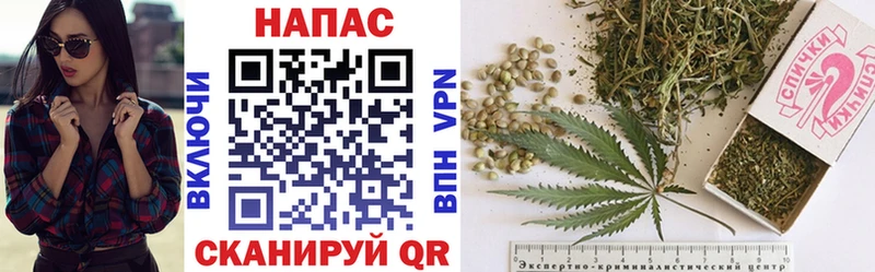 Купить Тырныауз Шишки марихуана THC 21%